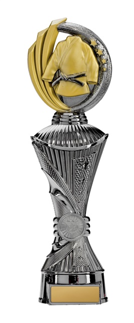 w19-8726_discount-martial-arts-trophies.jpg