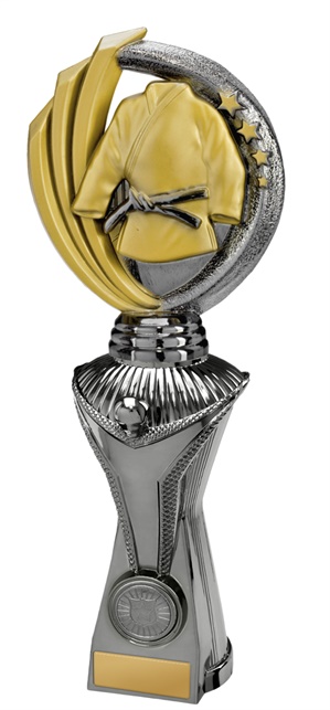 w19-8731_discount-martial-arts-trophies.jpg