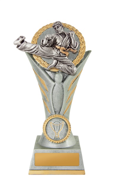 w19-8735_discount-martial-arts-trophies.jpg