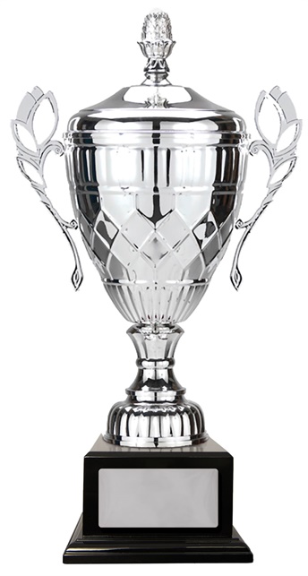 w21-0407_discount-cups-trophies.jpg