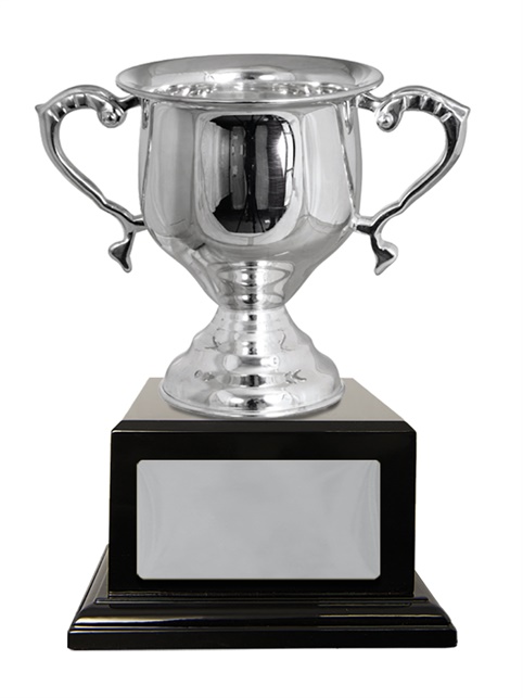 w21-0501_discount-cups-trophies.jpg