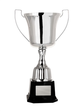 w21-0601_discount-cups-trophies.jpg