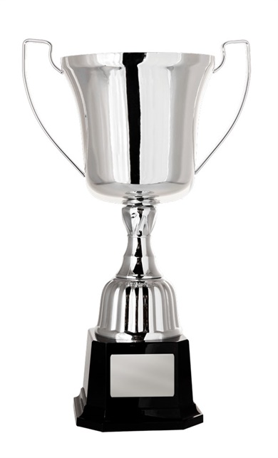 w21-0601_discount-cups-trophies.jpg