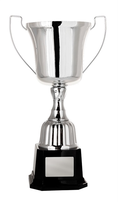 w21-0601_discount-cups-trophies.jpg