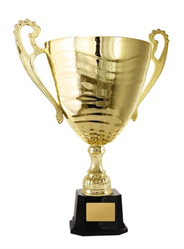 w21-0710_discount-cups-trophies.jpg