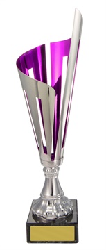 w21-1222_discount-cups-trophies.jpg