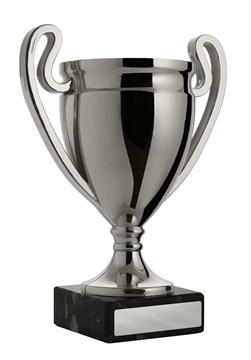 w21-3119_discount-cups-trophies.jpg