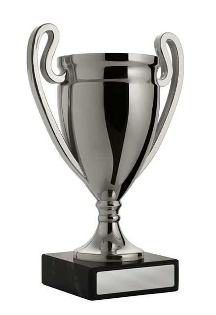 w21-3119_discount-cups-trophies.jpg