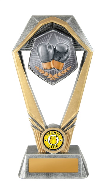 w21-7906_discount-boxing-trophies.jpg