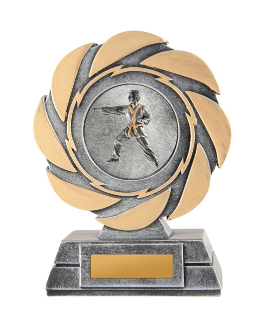 w21-8211_discount-ice-martial-arts-karate-trophies.jpg