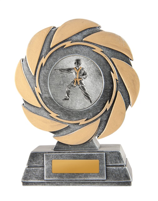 w21-8211_discount-ice-martial-arts-karate-trophies.jpg