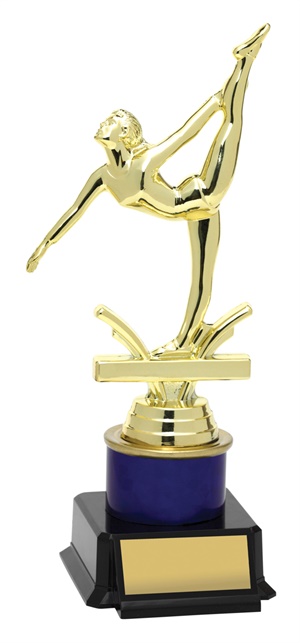 x0065_discount-gymnastics-trophies.jpg