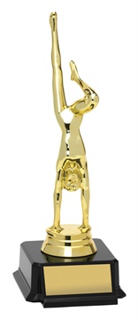 x0069_discount-gymnastics-trophies.jpg