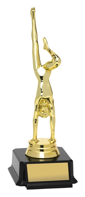 x0069_discount-gymnastics-trophies.jpg