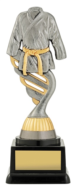 x0088_discount-martial-arts-trophies.jpg