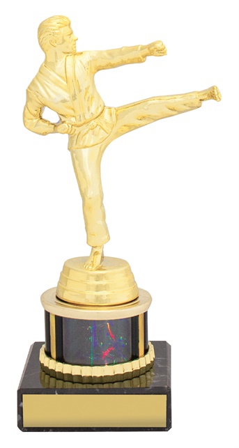 x0091_discount-martial-arts-trophies.jpg