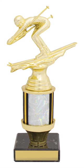 x0145_discount-skiing-trophies.jpg