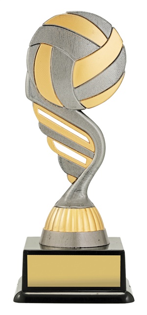 x0181_discount-netball-trophies.jpg
