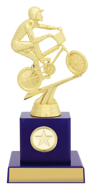 x0207_discount-bmx-trophies.jpg