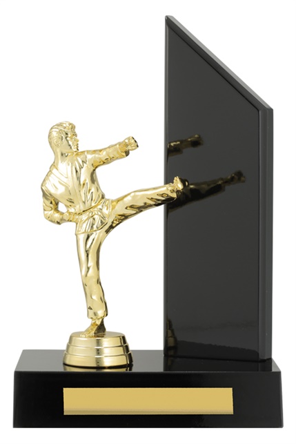 x0225_discount-martial-arts-trophies.jpg