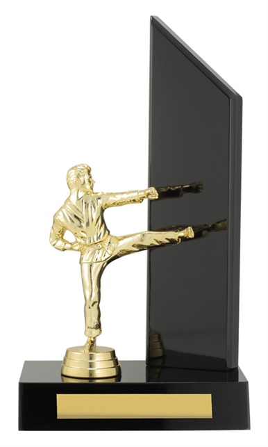 x0225_discount-martial-arts-trophies.jpg