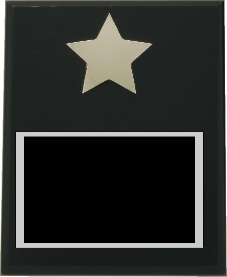 x3277_star_plaque.jpg