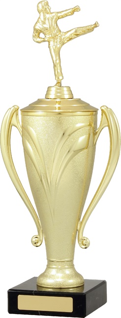 x4109_general-trophies.jpg