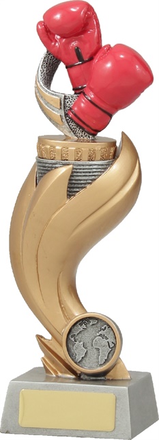 x4162_boxing-trophies.jpg