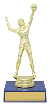 x4459_discount-general-sports-trophies.jpg
