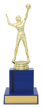 x4460_discount-general-sports-trophies.jpg