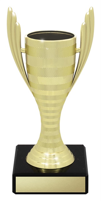 x4683_discount-general-sports-trophies.jpg