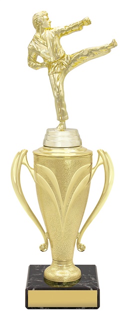 x4693_discount-general-sports-trophies.jpg
