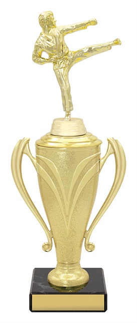 x4693_discount-general-sports-trophies.jpg