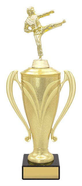 x4693_discount-general-sports-trophies.jpg