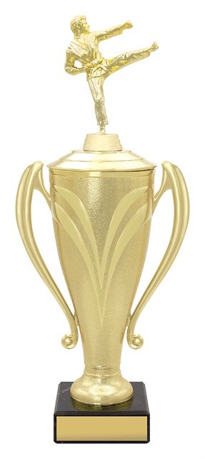 x4693_discount-general-sports-trophies.jpg