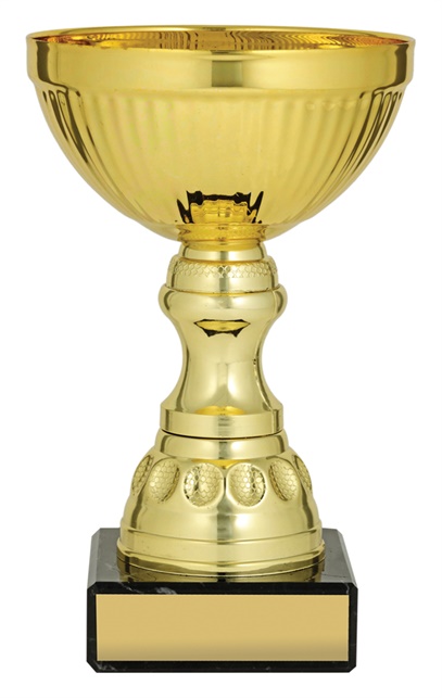 x4759_discount-general-sports-trophies.jpg