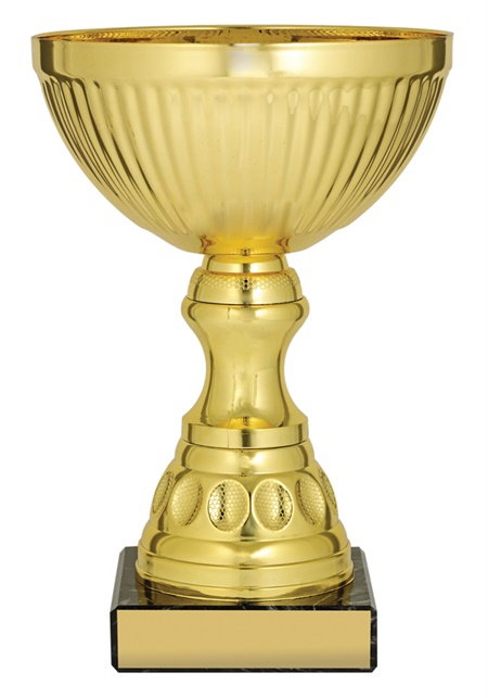x4759_discount-general-sports-trophies.jpg