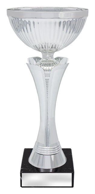 x4770_discount-general-sports-trophies.jpg