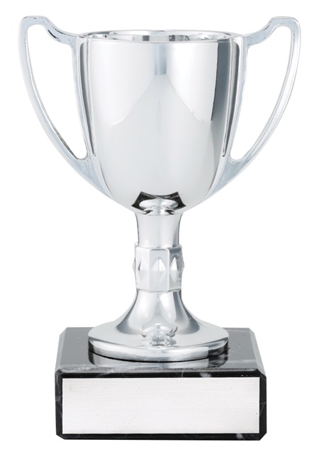 x4783_discount-general-sports-trophies.jpg