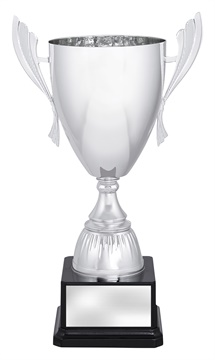 x4809_discount-general-sports-trophies.jpg