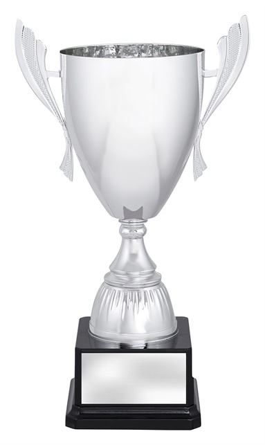 x4809_discount-general-sports-trophies.jpg