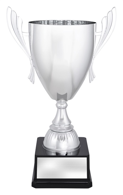 x4809_discount-general-sports-trophies.jpg