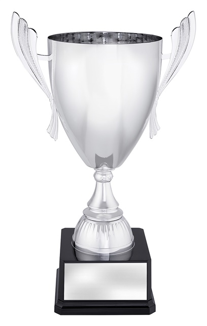 x4809_discount-general-sports-trophies.jpg
