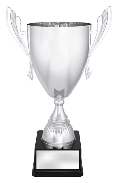 x4809_discount-general-sports-trophies.jpg