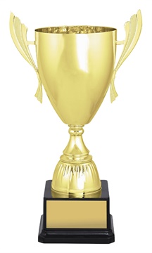 x4815_discount-general-sports-trophies.jpg