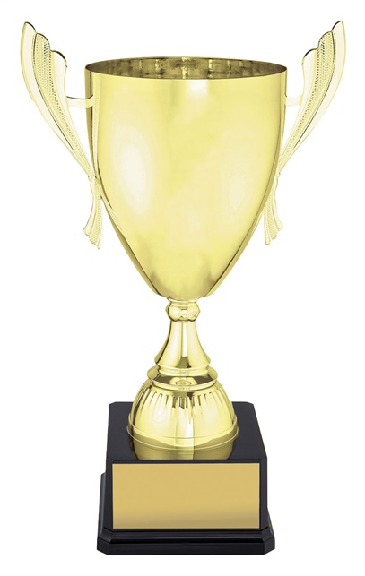 x4815_discount-general-sports-trophies.jpg