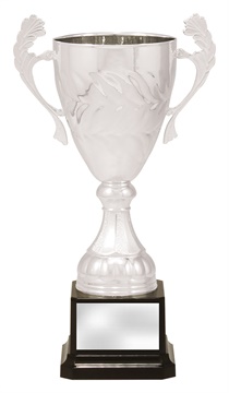 x4821_discount-general-sports-trophies.jpg