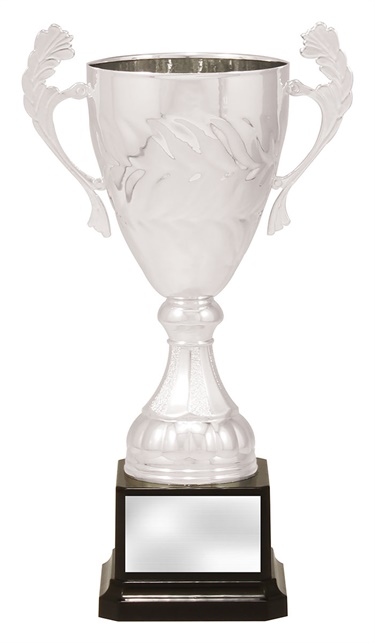 x4821_discount-general-sports-trophies.jpg
