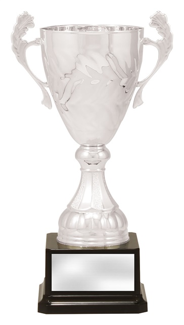 x4821_discount-general-sports-trophies.jpg