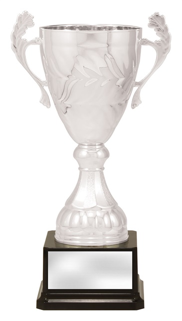 x4821_discount-general-sports-trophies.jpg